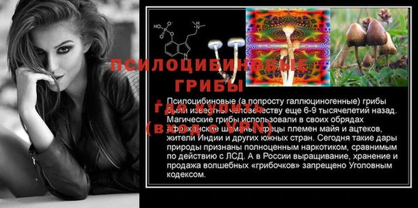 MDMA Premium VHQ Гусиноозёрск